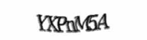 Security check image, please type the characters shown
