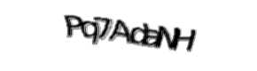 Security check image, please type the characters shown