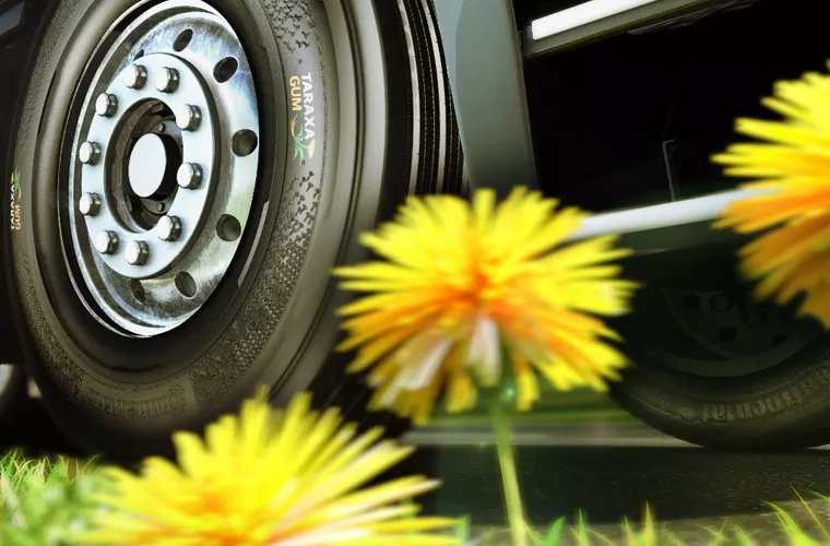 The future of sustainable tyres is the dandelion