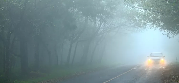 Top tips for driving in fog